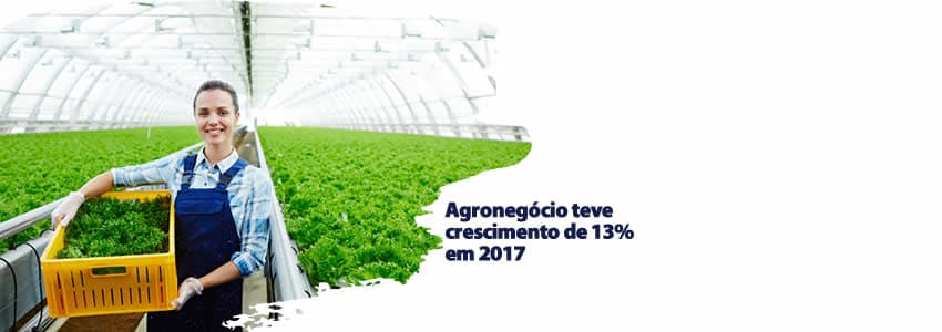 Agronegócio teve crescimento de 13% em 2017
