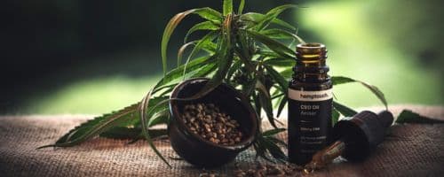 Canabidiol contra esquizofrenia: o que se sabe até agora?