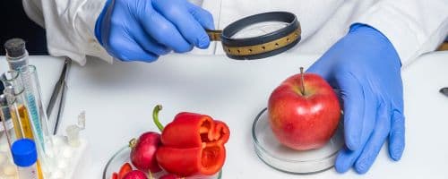 Segurança Alimentar: Principais desafios no Brasil