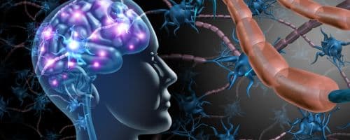 Neuroeducação: Transformando o Ensino com Base na Ciência do Cérebro