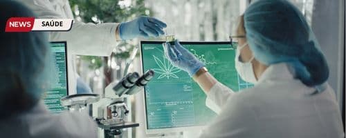 Ministério da Justiça defende que o STJ autorize o cultivo de Cannabis para o uso medicinal