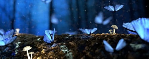 Como interpretar os sonhos com a Psicologia Analítica de Carl Jung?