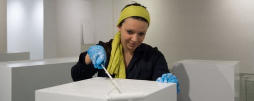 Como trabalhar em um museu? Veja profissões para atuar na área