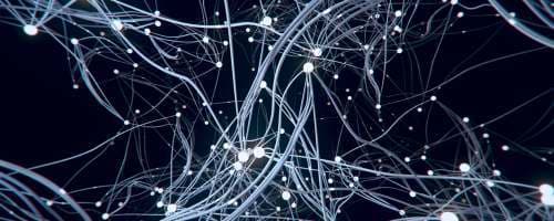 Qual o papel da Neurociência na Educação?