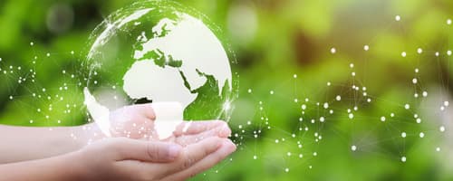 Conheça as opções de Pós EAD em Meio Ambiente