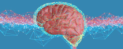 O Neuromarketing e a construção do branding nas redes