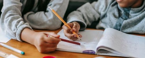 Função Executiva: A base para a preparação escolar sob o olhar da Neuropsicopedagogia