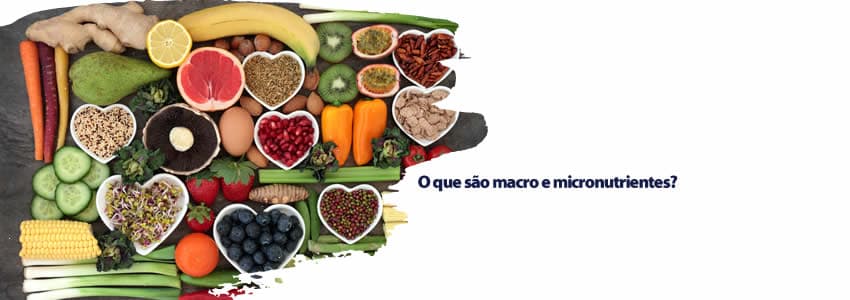 O que são macro e micronutrientes?