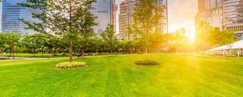 Cidades verdes: o futuro dos ambientes sustentáveis nas áreas urbanas