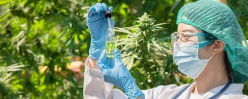 A Contribuição do Sistema Endocanabinoide no Tratamento de Transtornos Afetivos e Dor Crônica