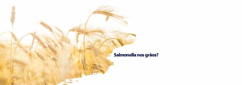 Salmonella nos grãos?