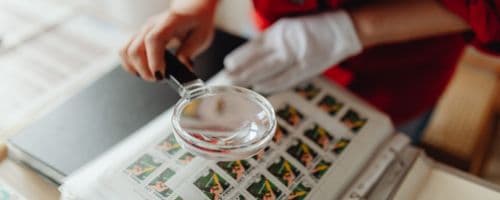 Curadoria Digital: Como está transformando exposições no Nordeste