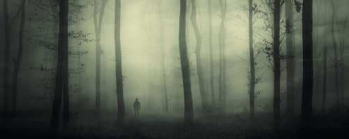 As Visões Proféticas de Jung