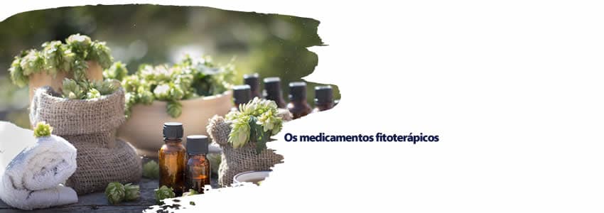 Os medicamentos fitoterápicos