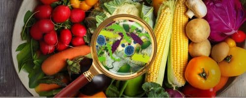 Qualidade de Alimentos: Por que a Vigilância Sanitária é Fundamental?