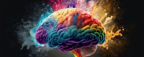 Neuroplasticidade: Entendendo a Capacidade do Cérebro de se Adaptar e Aprender