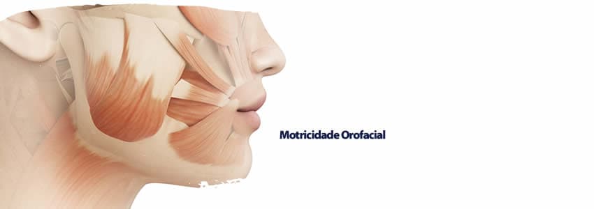 Motricidade Orofacial