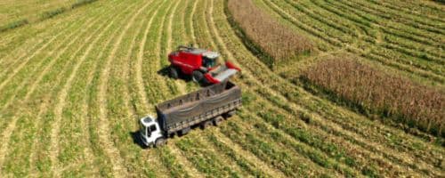 Agronegócio brasileiro emprega 28,6 milhões de pessoas no 2° trimestre de 2024