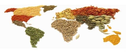 SEGURANÇA ALIMENTAR, GESTÃO E QUALIDADE EM ALIMENTAÇÃO