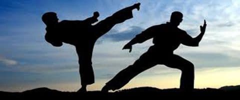 LUTAS, ARTES MARCIAIS E ESPORTES DE COMBATE (MMA): INICIAÇÃO AO TREINAMENTO