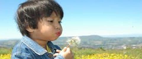 Aprendizagem, desenvolvimento e controle motor.