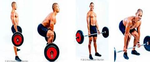 Musculação e Treinamento Físico (Educação Física)