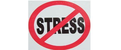 Metabolismo desacelerado em dias estressantes