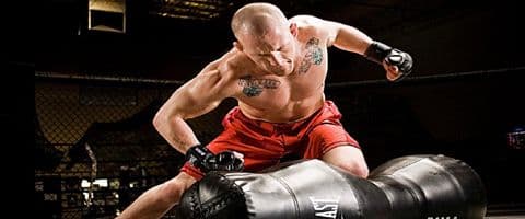 Treinamento Funcional e o MMA como prática esportiva