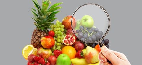 A importância da vigilância sanitária e qualidade de alimentos