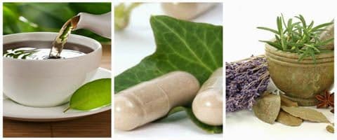 Mas o que é fitoterapia?