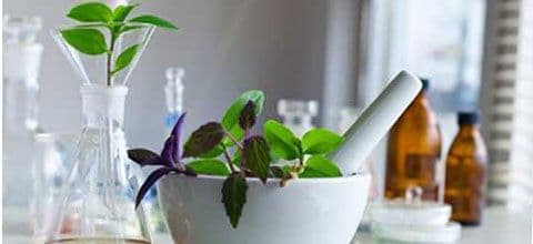 Benefícios da fitoterapia no tratamento de doenças