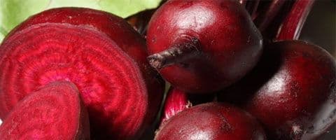 Propriedades da Beterraba podem substituir proteína da hemoglobina