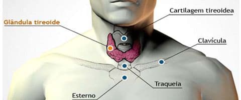 Hipotireoidismo e Hipertireoidismo são a mesma coisa?