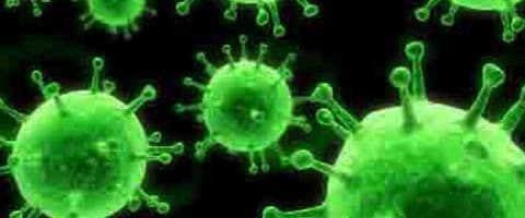 KPC: Conheça a superbactéria