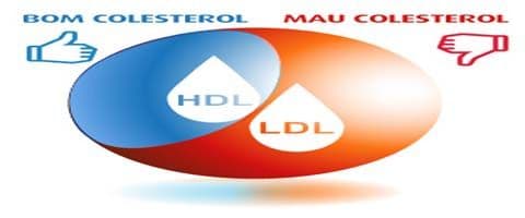 O que é colesterol