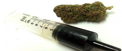 Canabidiol, conheça a aplicação médica da substância