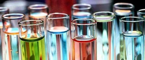 Teste em animais: o debate continua