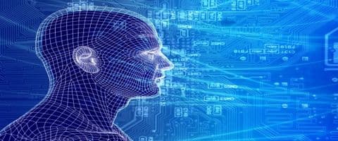 Como o seu cérebro processa informações?