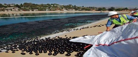 Califórnia enfrenta a seca com ideia criativa