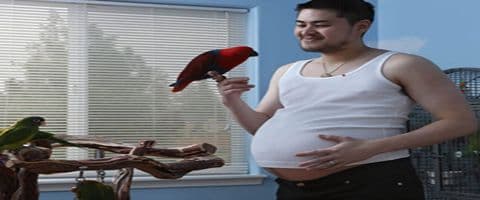 Homens desenvolvem sintomas de gravidez