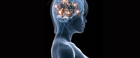 Cientistas recuperam memória de ratos com Alzheimer