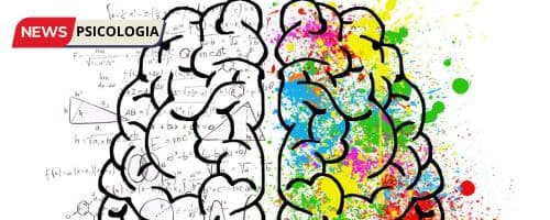 O papel da experiência no desenvolvimento do cérebro