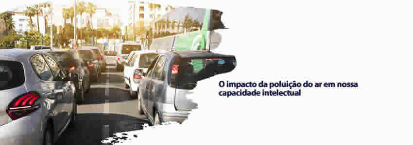 O impacto da poluição do ar em nossa capacidade intelectual