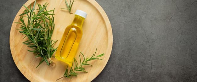 Florais para pets: para que esse tipo de medicamento é indicado?