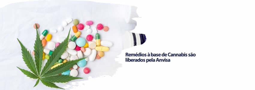 Remédios à base de Cannabis são liberados pela Anvisa