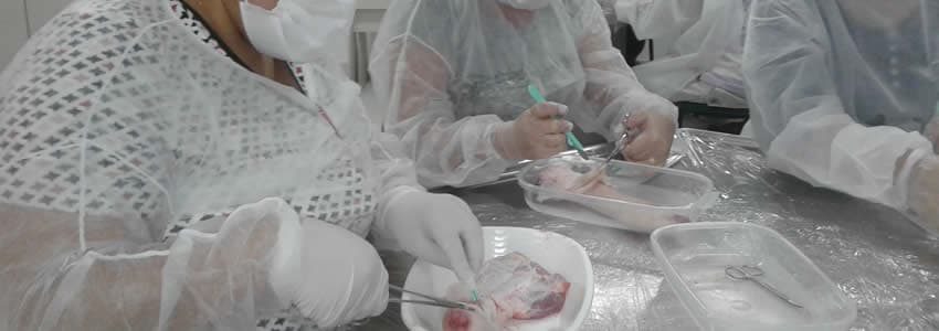 Processo de atendimento e cuidados básicos com o paciente queimado