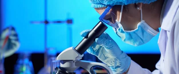 O setor de biotecnologia está em ascensão