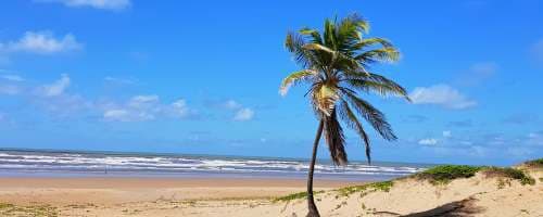 A psicologia da família no reality Ilhados com a sogra