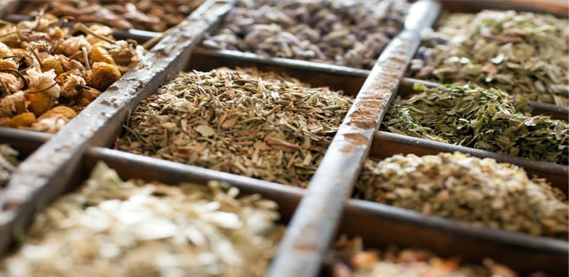 ASBRAN abre edital para Título de Especialista em Fitoterapia