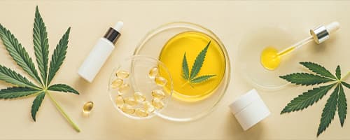 Lançamento novo curso da Pós Uscs: Pós-graduação em Cannabis Medicinal